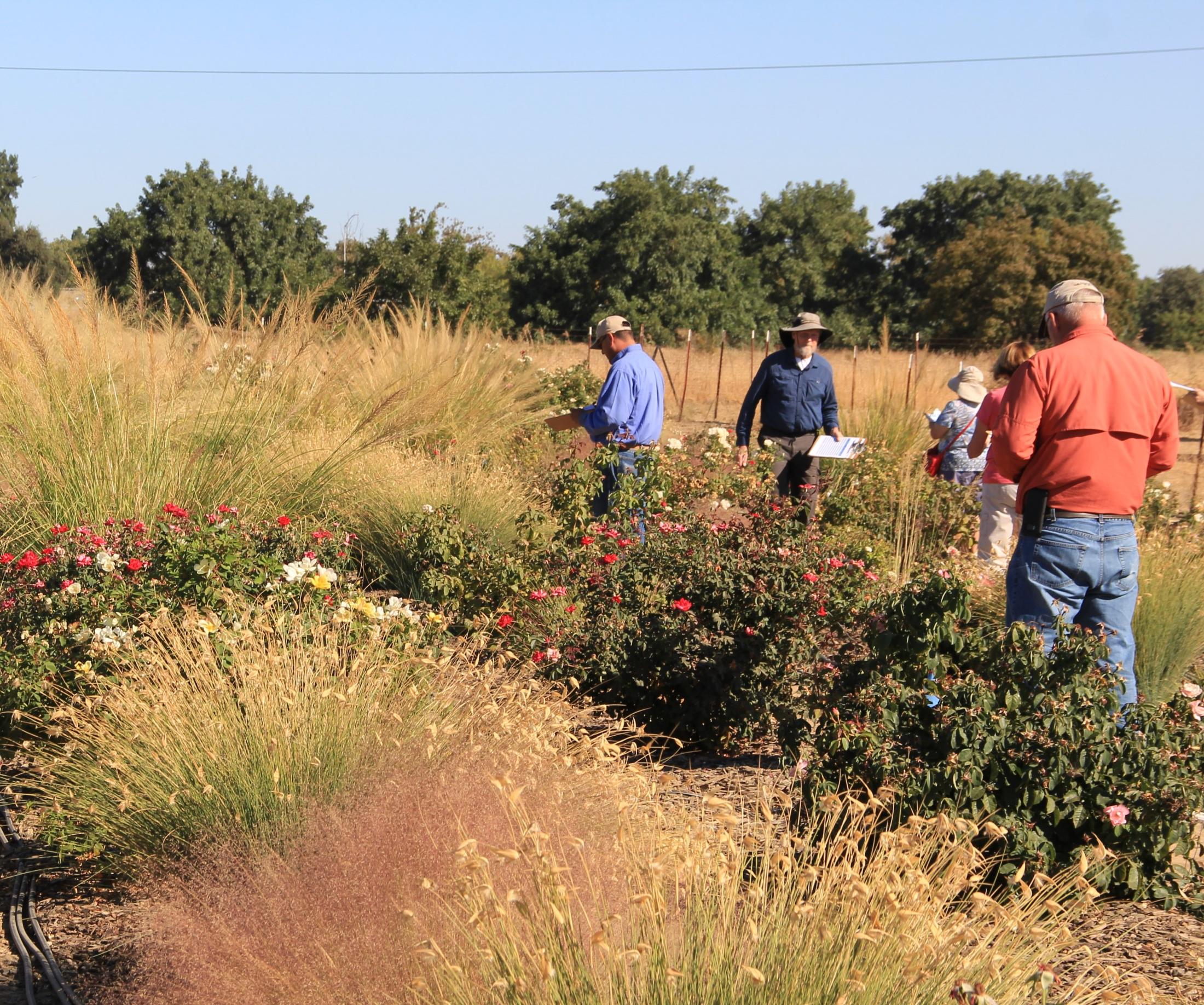 Field Trials