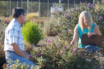 Researchers logging data for irrigation field study 