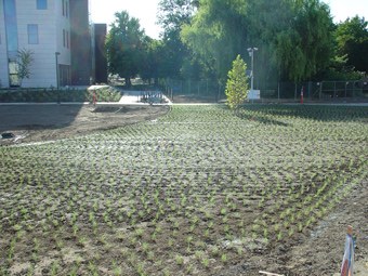 UC Davis Graduate School of Management with UC Verde installed