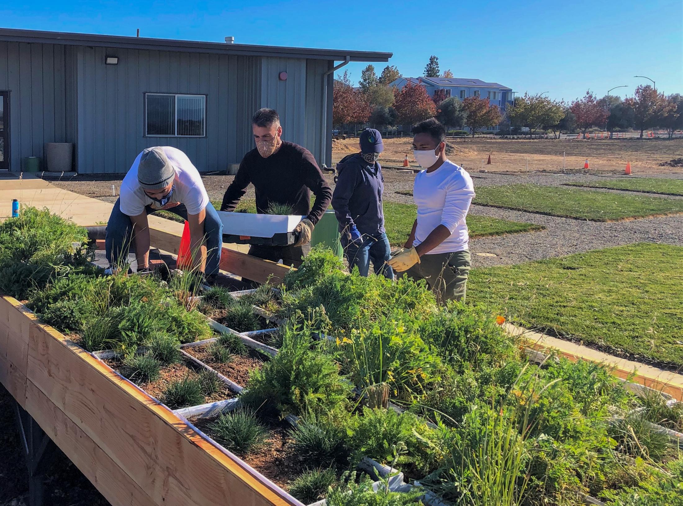 The SmartScape team places Florasource, Ltd.® Green Roof modules in the Green Roof Deck.