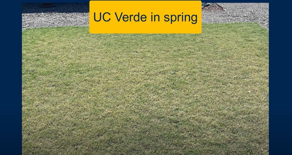 UCV spring