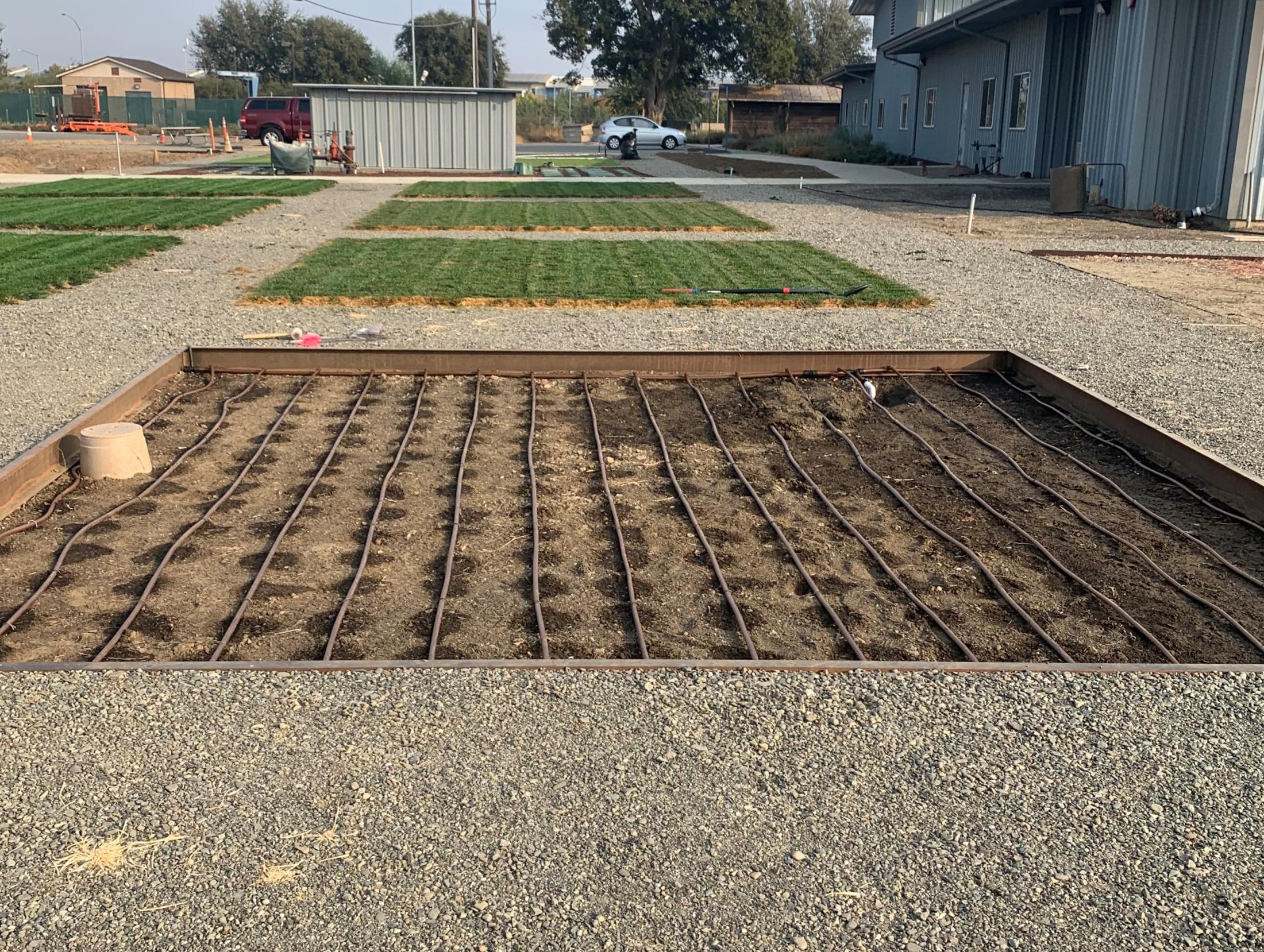 XFS Subsurface dripline waiting to be covered, Fall 2020