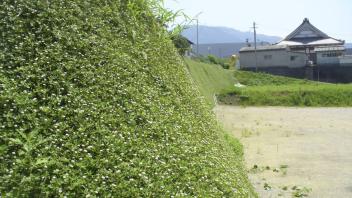 Slope Establishment
