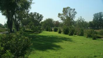 UC Verde Planting Park