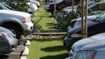 UC Verde Planting Parking Strip