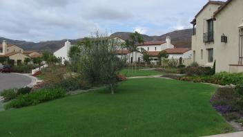 UC Verde Planting Yard