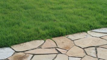 UC Verde Planting Close Up