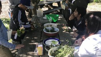 2018 picnic table