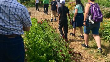 2017 - Garden