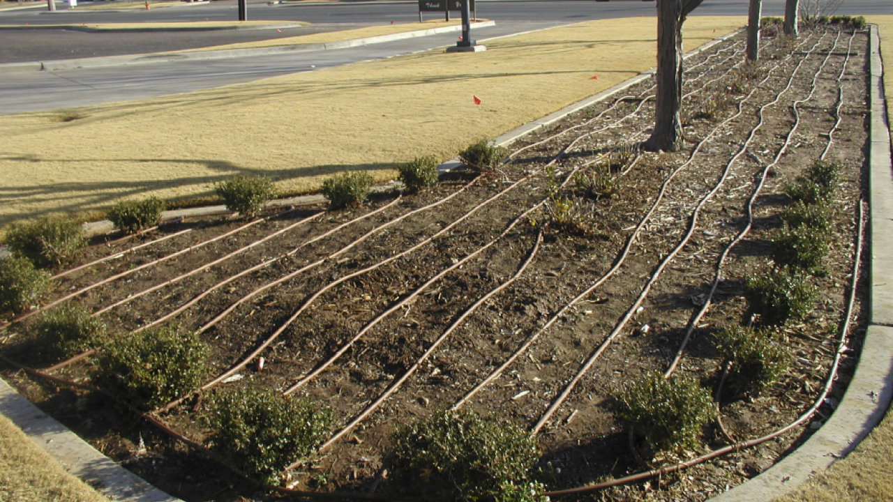 Get A Grip On Drip Drip Irrigation Workshop Concord Ca California Center For Urban Horticulture