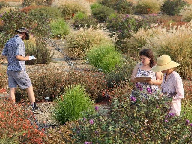 Irrigation Testing