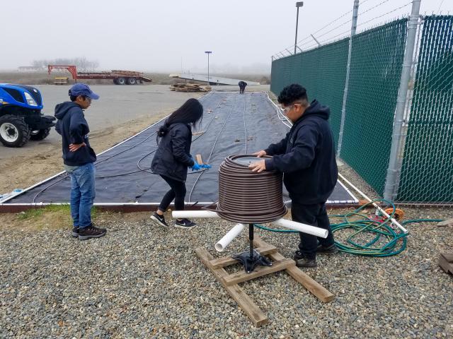 Three SmartLawn team members unwind dripline into the prepared Butterfly Study Garden area