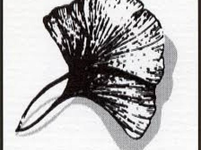 SHRE Logo