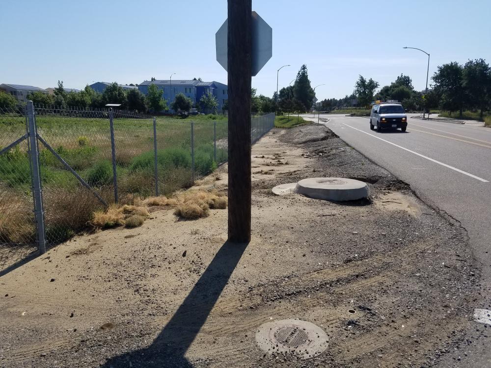 H1 summer 2019 (before).jpg