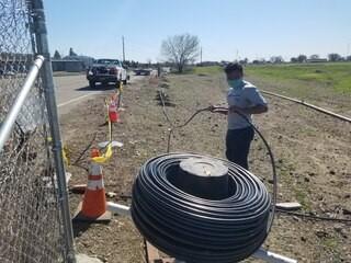 Laying drip irrigation