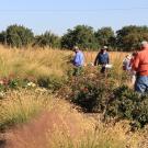 UC LANDSCAPE PLANT IRRIGATION TRIALS 2020 OPEN HOUSE