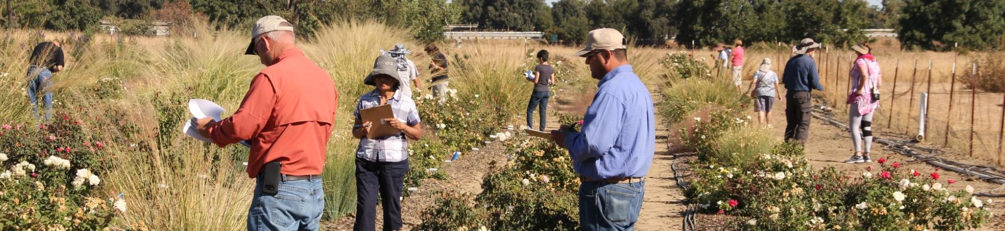 Field Trials