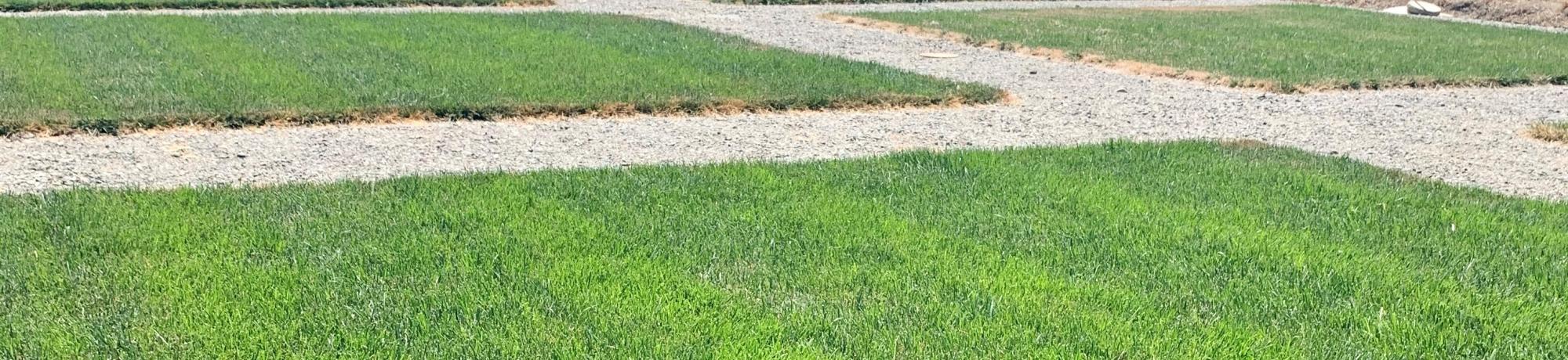 Cool season plots