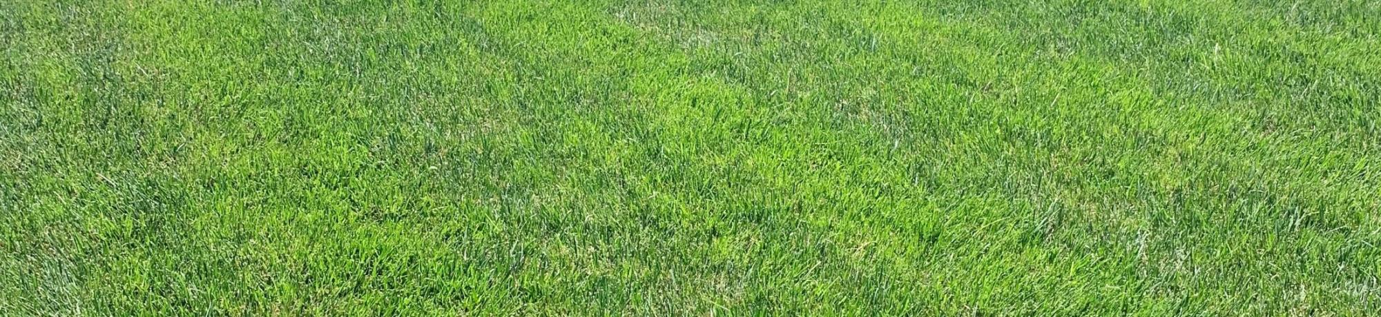 Cool season plots
